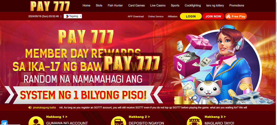 Pangkalahatang-ideya ng bookmaker Pay777